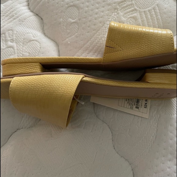 NWT slides - Picture 2 of 4